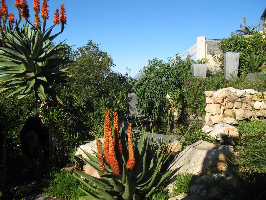 Seaview Apartment In Muizenberg Bagian luar foto