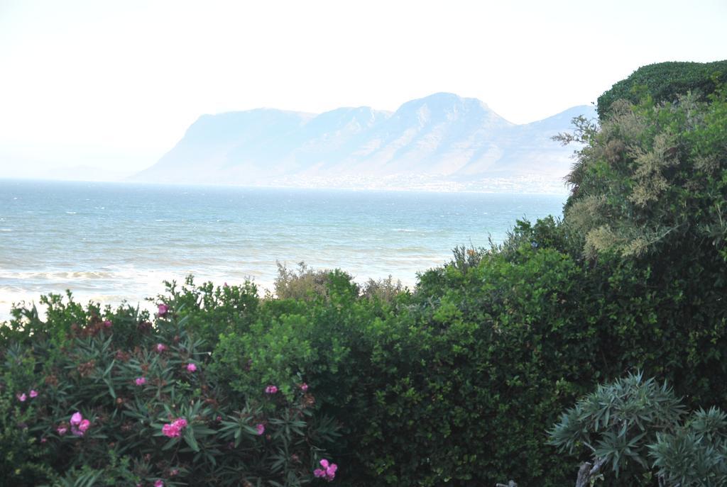 Seaview Apartment In Muizenberg Bagian luar foto